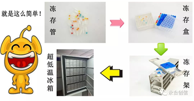 樣本凍存解決方案之凍存架、凍存盒、凍存管