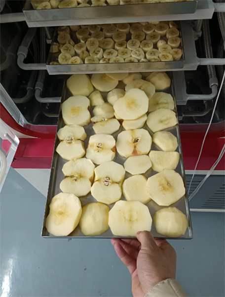 使用化妝品凍干機(jī)對(duì)面膜進(jìn)行凍干具體有哪些步驟？