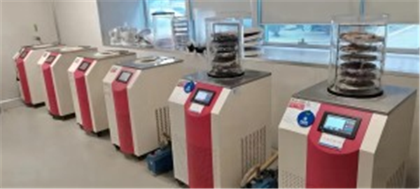 國產真空冷凍干燥機的質量控制與安全標準
